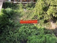 业主缺钱江北区洪恩寺公园保利山庄森林独栋200平花园