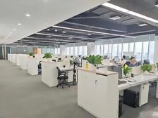 前海大降价了!特价70块钱!开发商直租!免租半年!