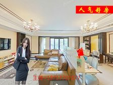 尚汇豪庭三期,法式小高层飞机户型,送子母车位,徐汇内环边