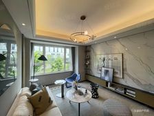 5米客厅开间电梯洋房依山傍水湾里商圈人车分流