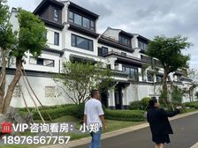 海口江东·云龙(绿城桃李春风)115㎡叠拼别墅 首付42万