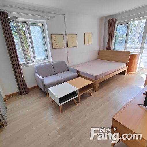 团结湖工园 呼家楼地铁 京广桥 东三环 精装电梯两居室随时看