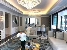 锦江区 三圣乡 豪装大平层,中式合院 一梯一户 配套设施完善