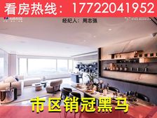 180米无敌豪宅!市区【香山湖畔】134平大3房,三文园书包