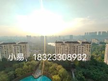 棕榈泉最核心位置 正看棕榈湖 板式大平层 电梯入户 推荐!