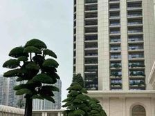 湖滨南路 空中别墅 带游泳池 高层看海,山,湖豪华装修