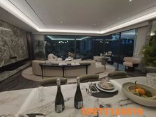 雨花高铁核心地段 2.4号双地铁口 精装大平层 高端品质