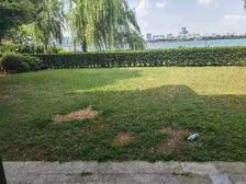 金鸡湖首牌沿湖景观大独栋,超稀缺大花园,内图就是实景拍摄房子