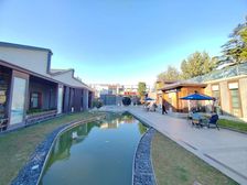 独栋独立门头丨花园式办公丨开间直播间丨酒仙桥望京丨近地铁