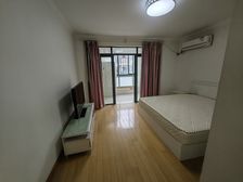 龙柏井亭公寓 地铁旁1房1厅 精装修可拎包入住 位置安静