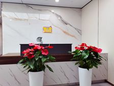 全新精装修、带家具、高端、轻奢、大气274㎡随时拎包入驻