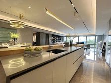 地铁口 市府旁 国色风华六恒豪宅天花板 挑墅厅 豪宅名流上圈