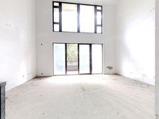 联排别墅上下六层 预留电梯井 毛坯户型客厅挑高 价格可谈