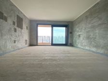 碧桂园中俊天玺 湖景大平层 看整个湖景 视野无敌