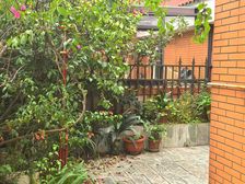 228万购青羊区金沙博物馆旁 临河双地铁 电梯顶跃带平台花园