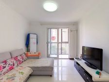 (费用全免)南海家园四里经典大3居格局无浪费电梯房价可议