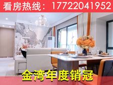 团购惊喜价直降50万!金湾华发商都旁【天茂领航湾】南向大两房
