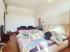 经十一路育英(两室朝阳)可上可转