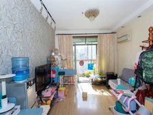 急抛!晋元 双阳台朝南 满五年 电梯中区 全明 户型正气 !