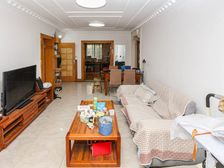 降价急卖 梅川馨苑 103平3居 南北向中装修 视野无遮挡