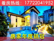宇宙海景别墅!【格力海岸别墅】200%使用率+送300平花园