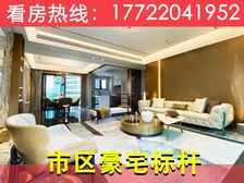 万人围观!加推226平大平层 !【绿景玺悦湾】富人区豪华装修