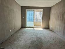 房主急用钱 金龙湖洋房 楼层 可随意改动 看中可谈