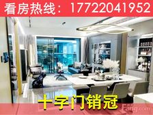 海景天花板!十字门国际社区【中海寰宇天下】左手澳门右手横琴