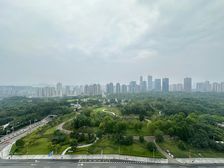 中央公园必看大平层 公园大道上峯头排观公园 五房 全屋地暖