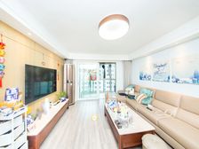 新上笋盘+镇坪路地+铁口+高区飞机户型+商圈成熟