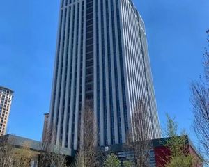 湘江新区高铁西旁高层独栋火热销售中
