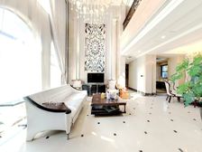 大悦城旁,2.5环武侯山庄,双拼别墅,前后花园