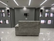 大连路地铁上盖!保利绿地广场!现房685平精装全配!得房率高