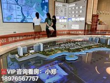 限时钜惠 海口·江东(十里春风)50平米两房 买一层用两层