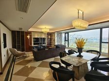 复地金融岛 178平4居 南北向精装修