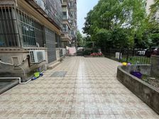 足球场般大的南花园 附赠产权车位 价格可议 付定交房