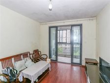 房东撑不住了,星晓家园3房350万, 着急出售,先到先到