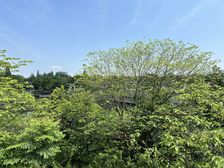 新上 蓝湖郡临湖独栋 清水 花园1200平 有匙 随时可看