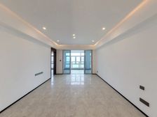 江北嘴 看江景品质大平层,带鲁巴协议,全新,带地暖,出行便利