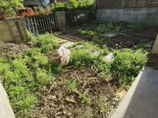 绿地东岸,沿河别墅,上下3层。送车库,地下室,送花园