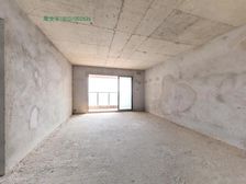 急售 红角洲稀缺大平层 吴迪视野 地铁商业医院旁 莱电咨询