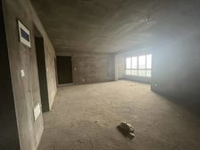 绿都洛阳府对面,均价4700,通透三室毛坯房,随时能看