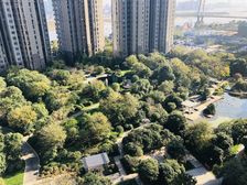 九颂山河270度观江大平层,纯毛呸,俯瞰整个八一桥腾王阁急售