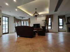 西郊大公馆 全明地下室 20米开间 大花园占地1108平