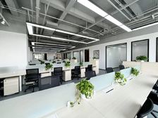 双地铁牡丹园,牡丹科技,迪蒙大厦,环星科技,实景拍摄 特价房