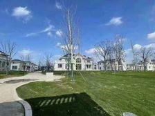 总价2300万起,紫都上海晶园 一手独栋,开始认筹,看房可约
