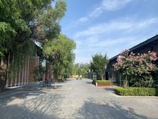 直租 东四环四惠商圈 自空间CBD领英写字园 280平独栋