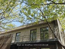 业主直租,双地铁,什刹海西海旁小面积独栋,融合办公与接待功能