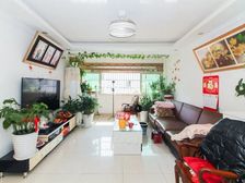 中间楼层大两房丨满五年丨拎包入住丨价格可大谈