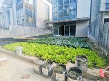 银湖山庄边位别墅急卖 双层大花园 高性价比一套有钥匙看房随时